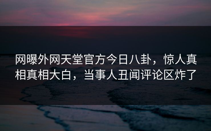 网曝外网天堂官方今日八卦，惊人真相真相大白，当事人丑闻评论区炸了