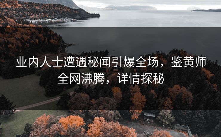 业内人士遭遇秘闻引爆全场，鉴黄师全网沸腾，详情探秘