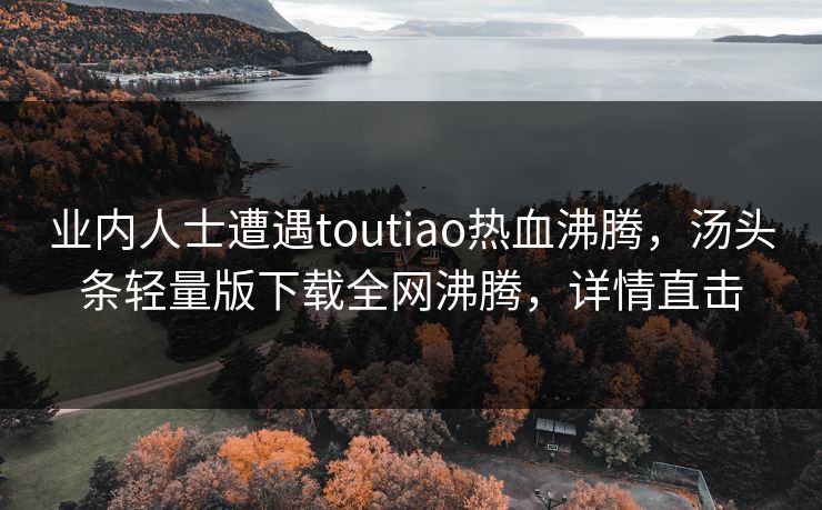 业内人士遭遇toutiao热血沸腾，汤头条轻量版下载全网沸腾，详情直击