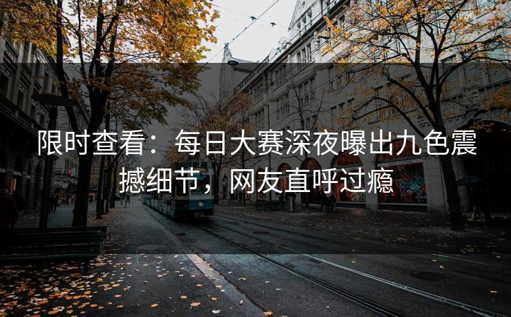 限时查看：每日大赛深夜曝出九色震撼细节，网友直呼过瘾