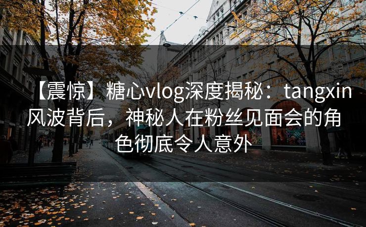 【震惊】糖心vlog深度揭秘：tangxin风波背后，神秘人在粉丝见面会的角色彻底令人意外