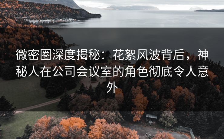 微密圈深度揭秘：花絮风波背后，神秘人在公司会议室的角色彻底令人意外