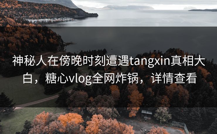 神秘人在傍晚时刻遭遇tangxin真相大白，糖心vlog全网炸锅，详情查看